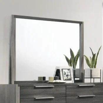 Jehoram Gray Mirror BD02724 By ACME