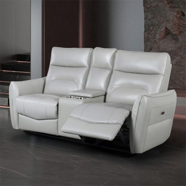 Terentius Power Loveseat FM69006TP-LV-PM Contemporary in Taupe Leather Match by Furniture of America 6