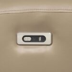 Schlieren Power Loveseat FM6012BG-LV-PM Compact Comfort by Furniture of America 13