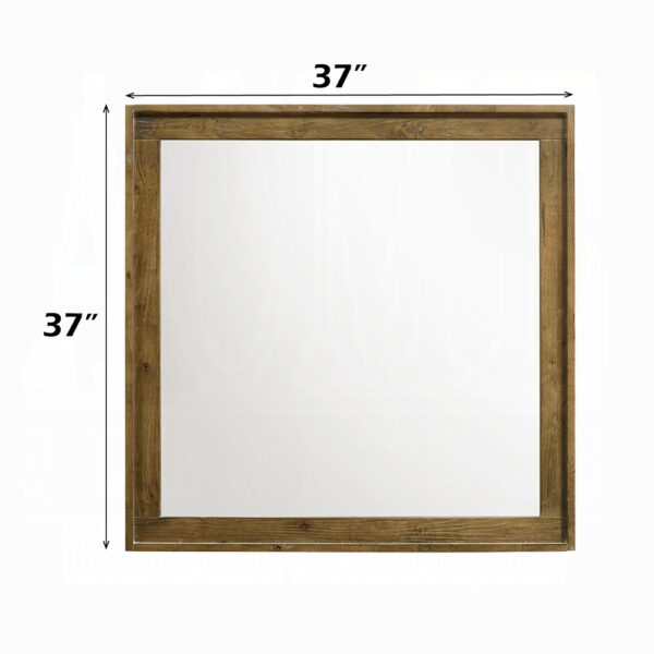Garcia Mirror in Brown Finish BD04864 By ACME 8