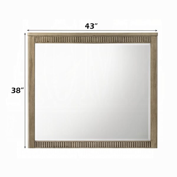 Lakkari Mirror in Antique Oak Finish BD04874 By ACME 8