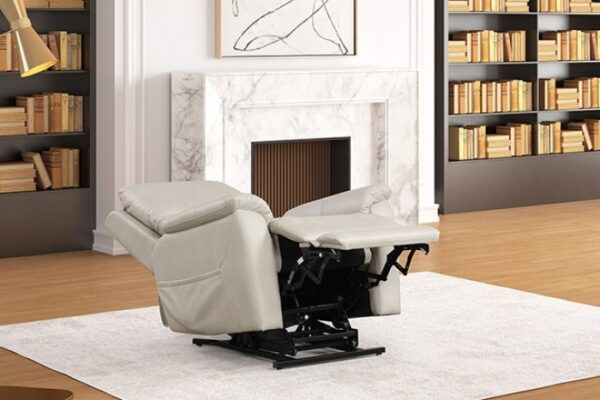 Ethelreda Lift Chair FM68002LG-LC Modern Comfort by Furniture of America 12
