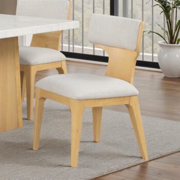 Caerwys Dining Chair  FM34004NT-SC-2PK Elegant Comfort with a Natural Touch by Furniture of America