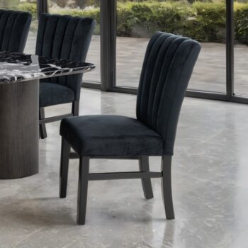 Selsey Side Chair (2Pc Set)   FM34005BK-SC-2PK Contemporary Comfort in Timeless Black by Furniture of America