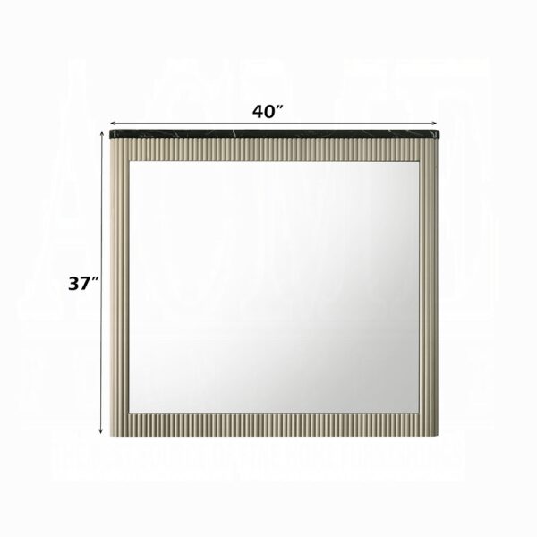 Travonte Mirror in Beige Finish BD04884 By ACME 8