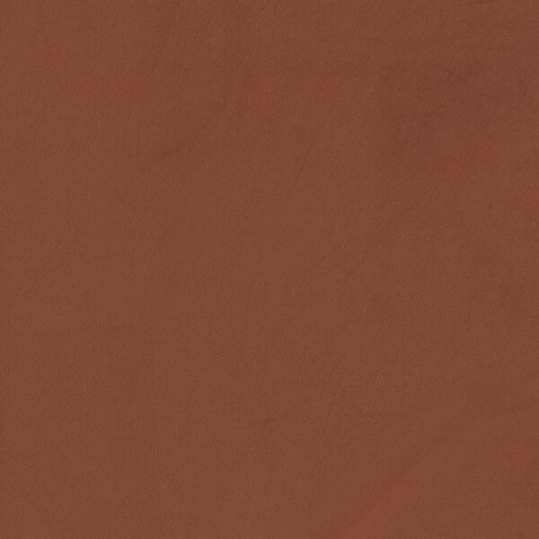 Liana Rust Orange Accent Chair by Coaster Furniture - Image 4