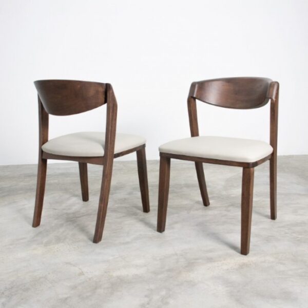 Hadsten Mid-Century Modern Walnut Side Chairs – Set of 2