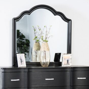 Melodi Parc Mirror Glam Black by Furniture of America