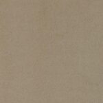 Rainn Upholstered Tight Back Sofa Latte 509171 by Coaster Furniture - Image 11