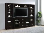 Lewes 4-piece Entertainment Center Cappuccino by 700881-S4 Coaster Furniture 13