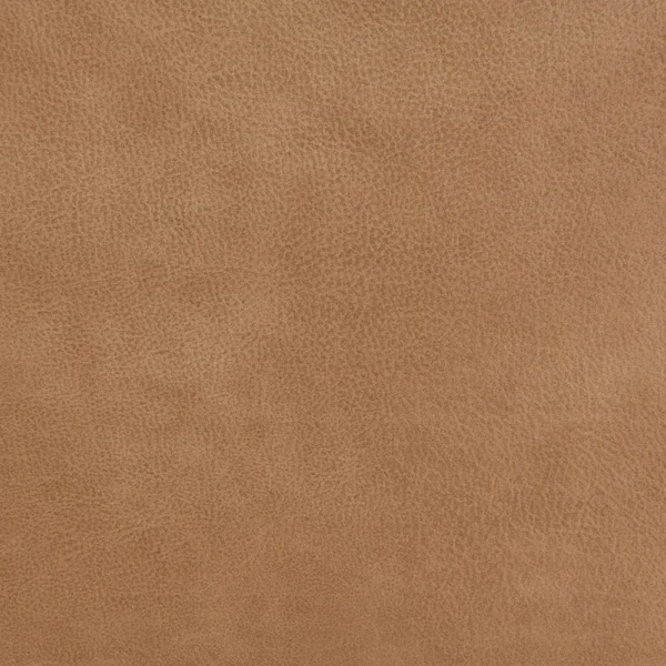 Chavis Power Motion Loveseat with USB & Power Headrest by ACME - Image 5