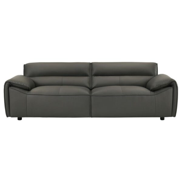 Buxton Top Grain Leather Upholstered Sofa Graphite by Coaster Furniture - Image 6