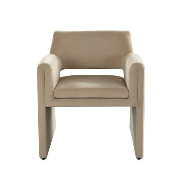 Velvet Dining Room Chair