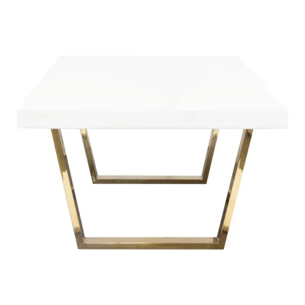 Modern Rectangular Coffee Table