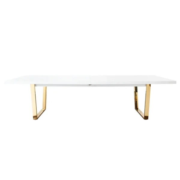 Modern Rectangular Coffee Table