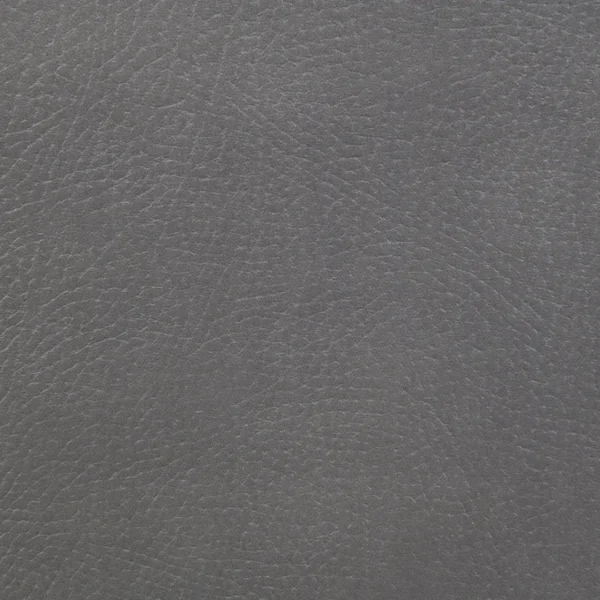 Leuco Gray Leather Power Headrest Recliner by ACME - Image 7