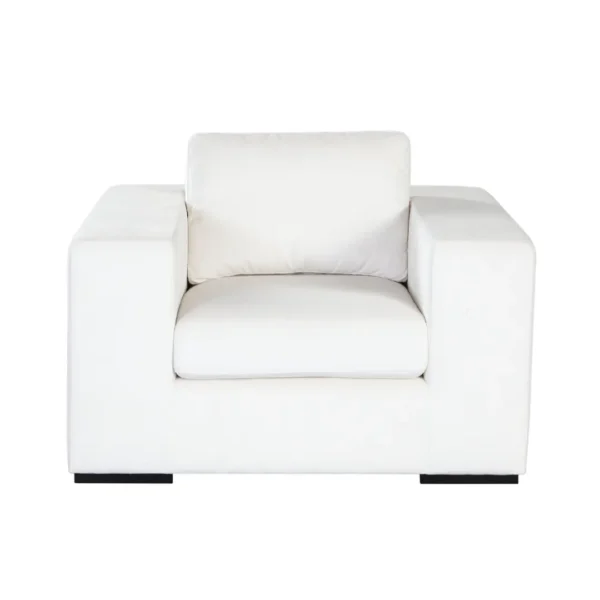 Modern Accent Chair
