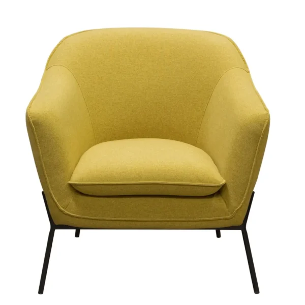 Upholstered Accent Chair
