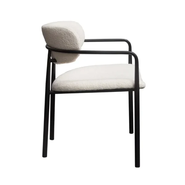 Modern Dining Chair