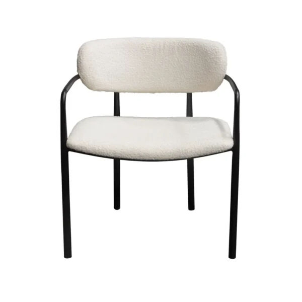 Modern Dining Chair