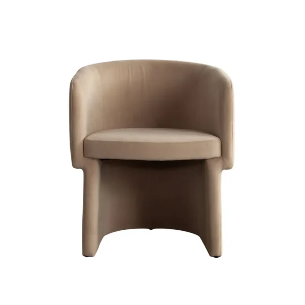 Dining Chair Contemporary