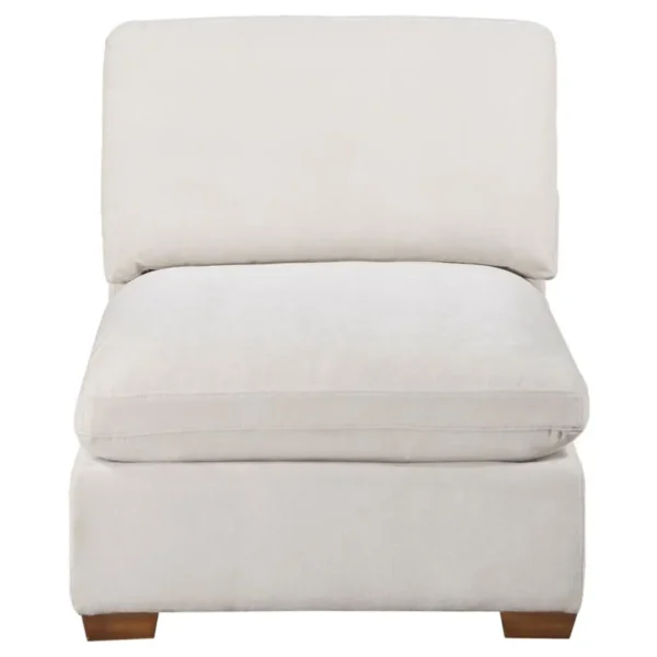 Chenille Fabric Chair